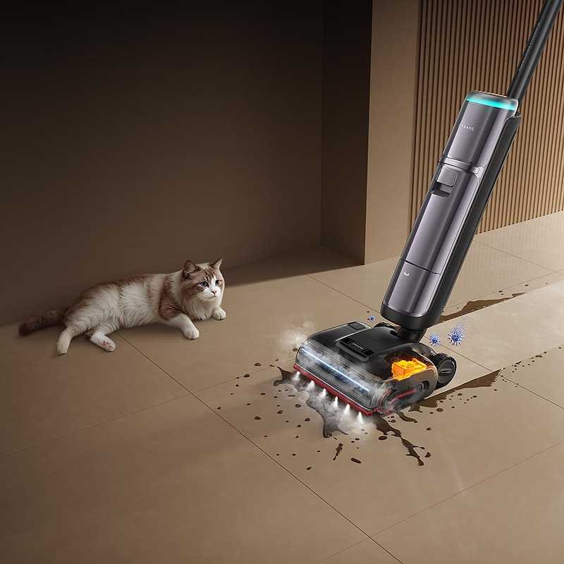 בטוח גם ליד החתול